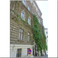 2019-06-29 Muenzwardeingasse Begruenung 04.jpg